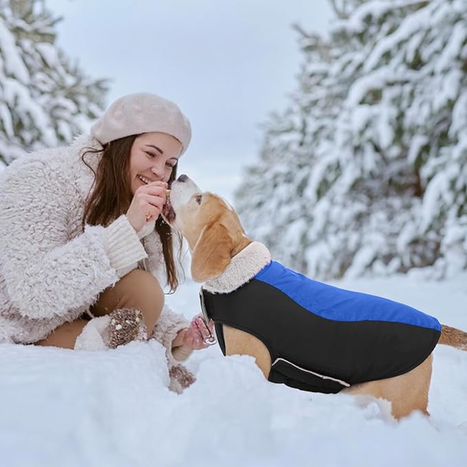 Warm Dog Coat,Waterproof Jacket in Winter Adjustable and Reversible Doggy Fleece Outfit,Thick Clothes with Foldable Collar for Puppy in Cold Days,L RoyalBlue