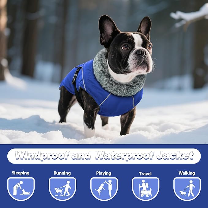 DENTRUN Large Dog Coat - Thick Fleece Lined Reflective Winter Jacket, Snap Closure & Leash Hole, Warm Thick Fleece Lined, Plush Turtleneck Vest for German Shepherd, Blue, XXL