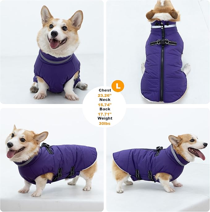 Large Dog Coat with Harness Built-in, Waterproof Reflective Fleece Lined - Warm Windproof Winter Jacket with Back Zipper, Cold Weather Snow Dog Coats - Purple - XL