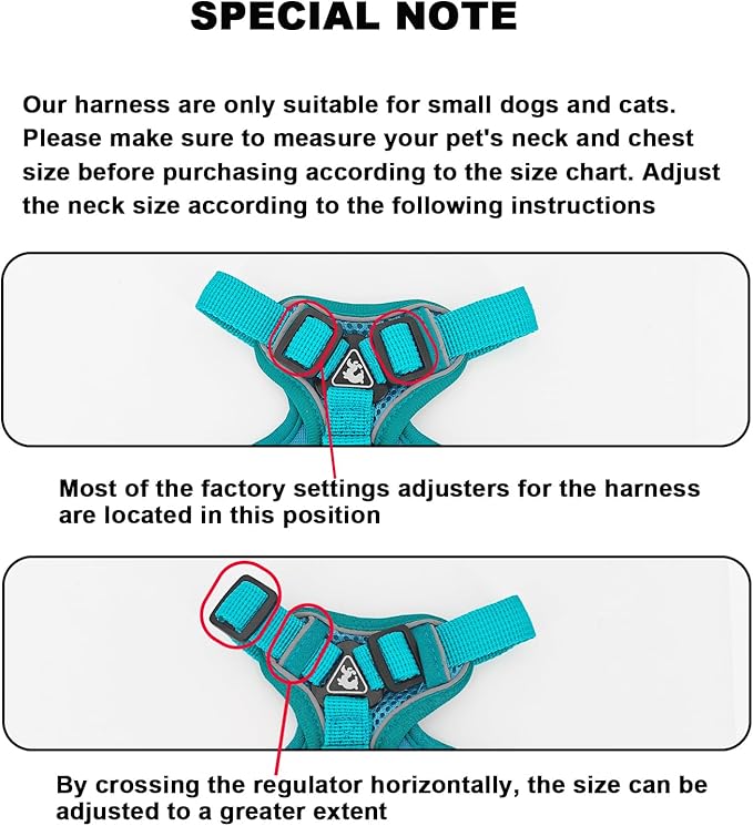 SOLMOONY Small Dog Harness,Soft Mesh Puppy Harness and Leash Set,No Escape Cat Harnesses for Training Walking,Reflective Adjustable Puppy Vest for Small Medium Dogs, Cats (Turquoise, L)