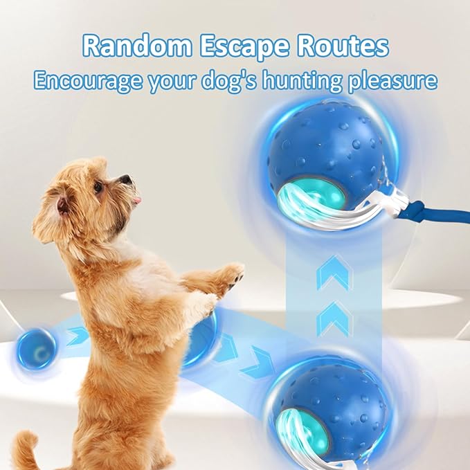 Tiny Fetch Dog Toy - Interactive Dog Toys, 360°Smart Automatic Rolling Electric Dogs Ball Toy with Birdsong, Automatic Obstacle Avoidance, Rechargeable, Boredom Relief for Dogs & Cats (Red*1+Blue*1)