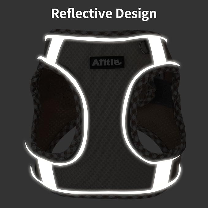 AIITLE Tiny Dog Harness - Lightweight Mesh Step-in Vest for Puppy, Reflective & Escape-Proof Design with High-Stick Magic Tape - Indoor/Outdoor Use for Chihuahua, Maltese, Shih Tzu(Purple, XXXS)