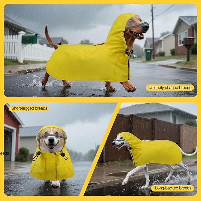 DENTRUN Dog Rain Poncho for Corgi, Schnauzer – Waterproof & Quick-Dry – Hooded Design with Leash Hole for Outdoor Adventures, Camping, City Strolls, L