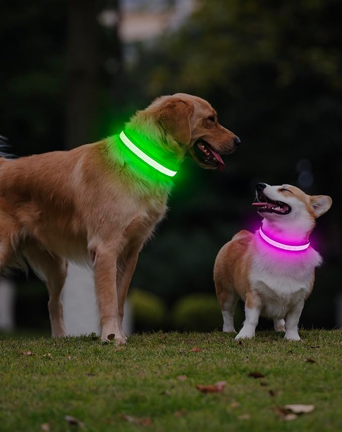 Weesiber Light Up Dog Collar - Reflective LED Dog Collar Rechargeable Glow in The Dark Pet Collar, Safety Doggie Lights for Night Walking(Green, S)