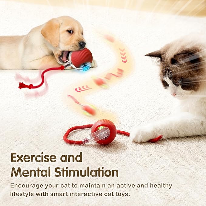Interactive Cat Toy Ball, 2025 Upgraded Cat Toys for Bored Indoor Adult Cats, Self Rolling Interactive Dog Ball Toy, Automatic Smart Pet Toy Ball Kitten Toys (Red)