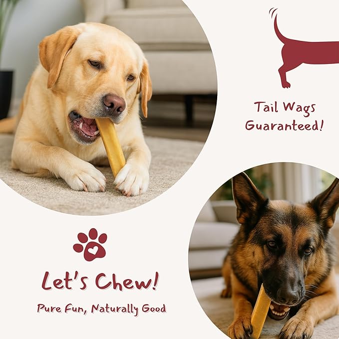 Majestic Pet Himalayan All-Natural Yak Cheese Dog Chews Made with 100% Cows Milk- Long Lasting Dental Chew for Dogs - Healthy Pet Treats (Dental & Bone Support, XL, 5 Pack)