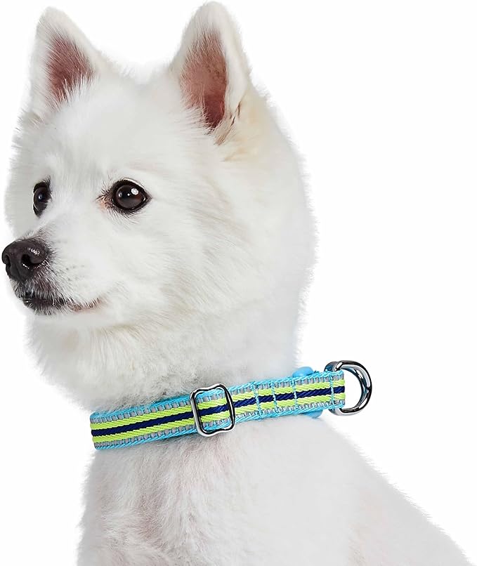 Blueberry Pet Safety Dog Collar with Dual D-Rings | 3M Reflective Multi-Colored Adjustable Collar in Blue and Yellow | Soft Nylon Dog Collar for Active Small Dogs