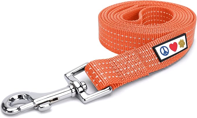 Pawtitas 6 FT Dog Leash - Reflective Orange Puppy Leash with Comfortable Handle and Heavy Duty Training