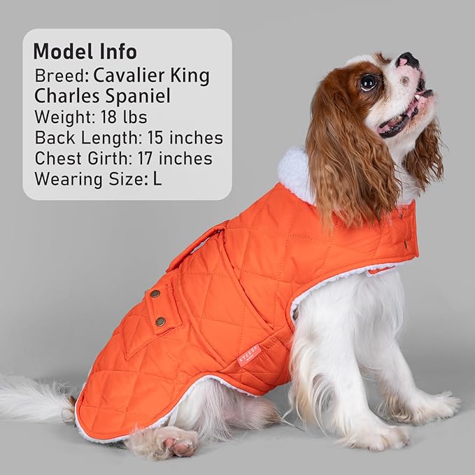 KYEESE Dog Coat Warm Pet Winter Puffer Coat with Leash Hole Waterproof Dogs Jacket with Fleece Lined Windproof Dog Coats for Small Dogs Thick Cat Clothes with Pocket Soft Pet Sweater for Cold Weather