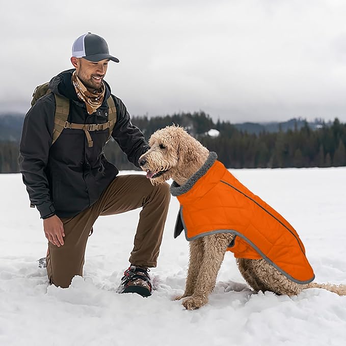 Fragralley Dog Coat Small, Waterproof Dog Jacket with Warm Fleece Lining, Adjustable Reflective Dogs Winter Coat, Turtleneck Pet Coats for Cold Weather (Orange S)