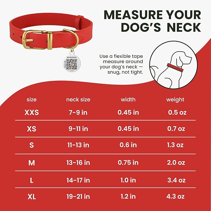 BRONZEDOG Leather Dog Collar with Metal Buckle Durable Basic Pet Collars for Small Medium Large Dogs (19-21 Inch (Pack of 1), Red & Gold Buckle)