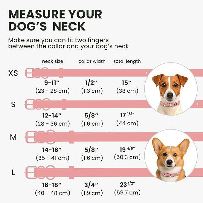 BRONZEDOG Rolled Leather Dog Collar for Small Medium Large Dogs with QR ID Tag (M: 14-16 Inch, Powder Pink)
