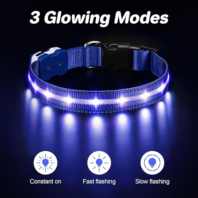 PcEoTllar Light Up Dog Collars, Led Dog Collar, Rechargeable, Night Walking, Waterproof, Glow in The Dark Dog Collars Light for Large Small Medium Dogs, Blue m