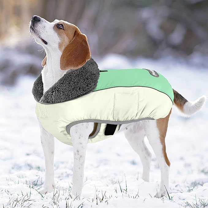 Dog Coat, Waterproof Dog Winter Jacket with Leash Hole, Reflective Adjustable Pet Fleece Sweater, Warm Snow Vest for Small Medium Large Dogs - Candy Green, XL