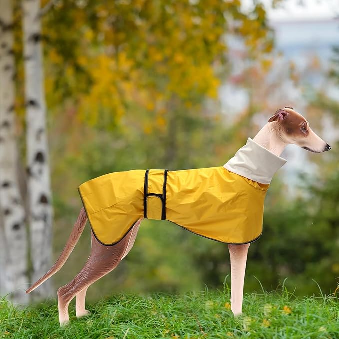 Dog Raincoat with Reflective Bar, Rain/Water Resistant, Adjustable Vest - Dog Raincoats for Greyhounds, Lurchers and Whippets - Yellow - XL