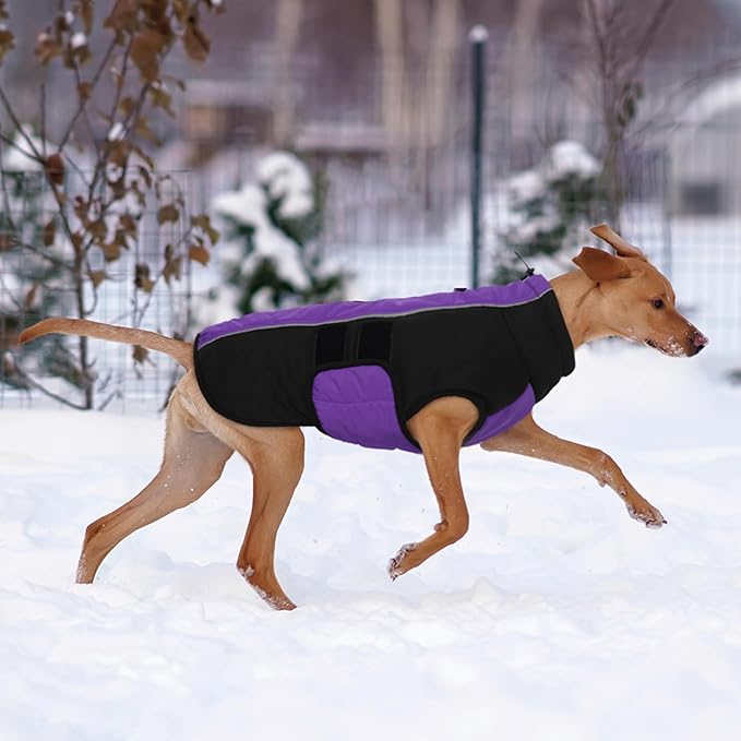 Kuoser Dog Jacket, Winter Dog Coats for Medium Dogs, Reflective Doggie Cold Weather Coats Pet Clothes, Puppy Snow Jacket for Frech Bulldog, Boston Terrier, Purple M
