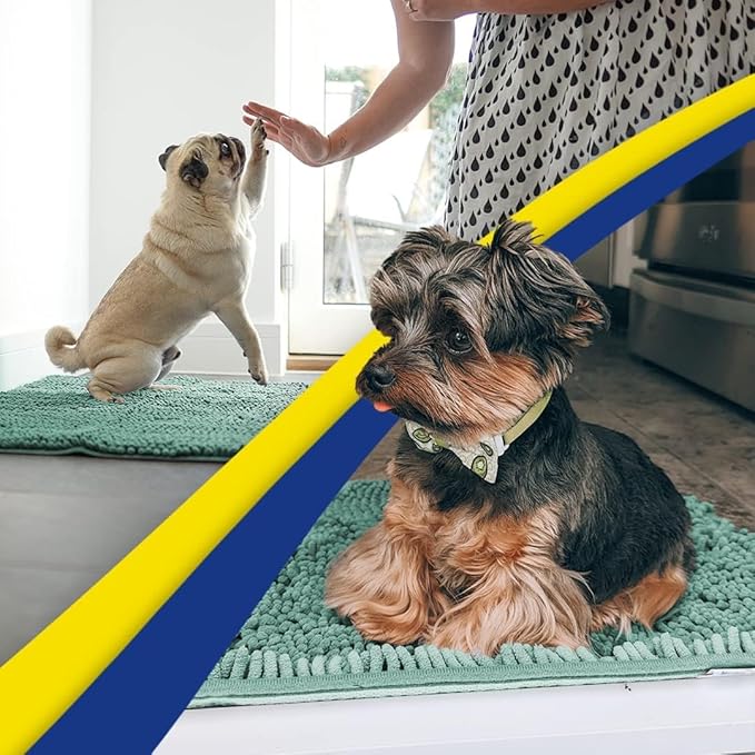Muddy Mat® Shown on TV – Super Absorbent Door Mat Indoor, Microfiber Quick Dry Chenille Entryway Rug, Non-Slip Front Door Mat, Indoor Mats for Entryway, Machine Washable Pet Rug, Sea Green 24"x36"