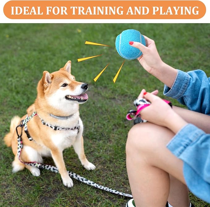 DIVINA VITAE 20Pcs Small Tennis Balls for Dogs, 2 Inch Colorful Mini Tennis Balls Fits All 2 Inch Dog Ball Launchers