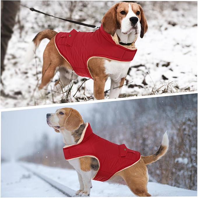 ASENKU Warm Dog Winter Coat, Waterproof Dog Coat for Cold Weather, Fleece Dogs Jacket with Ultra Thick Plush Lining Leash Hole Storage Pockets for Medium Dogs (Red, Medium)
