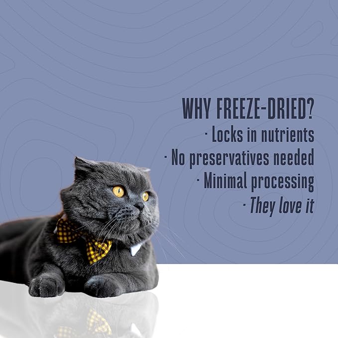 Whole Life Cat Just One Salmon Freeze Dried Cat Treats - Human Grade High Protein Food, Healthy Training Snacks, Freeze Dried Salmon Food Toppers, USA Made Natural Treats - 7.5 oz (Pack of 1)