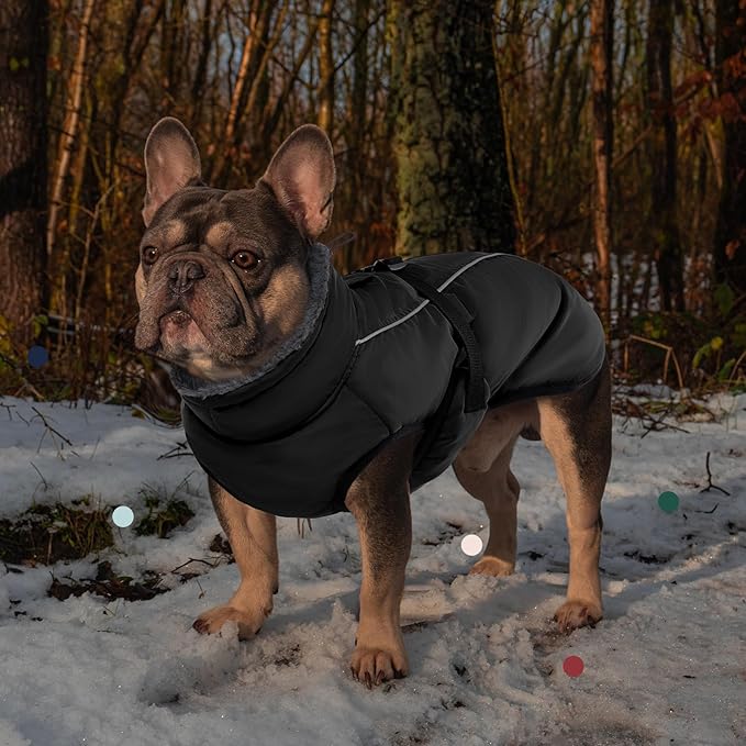 IECOii Extra Warm Reflective Dog Jacket - Adjustable Dog Winter Coat with Buckle & Soft Fleece for Small, Medium & Large Dogs
