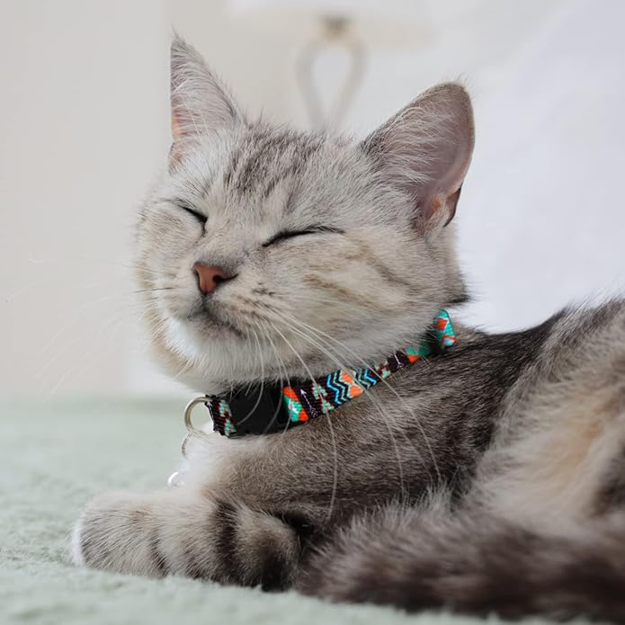 CollarDirect Cat Collar Breakaway with Removable Bell Set of 2 PCS