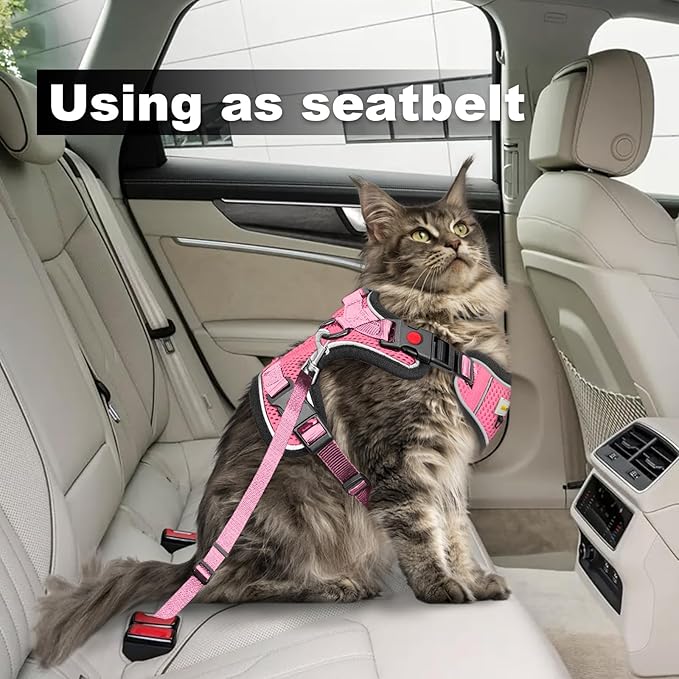 Cat Harness and Leash for Walking, Retractable Cat Harnesses and Leash Set Escape Proof, Breathable Soft Kitten Small Large Harness for Travel Training and Walking, Pink, M