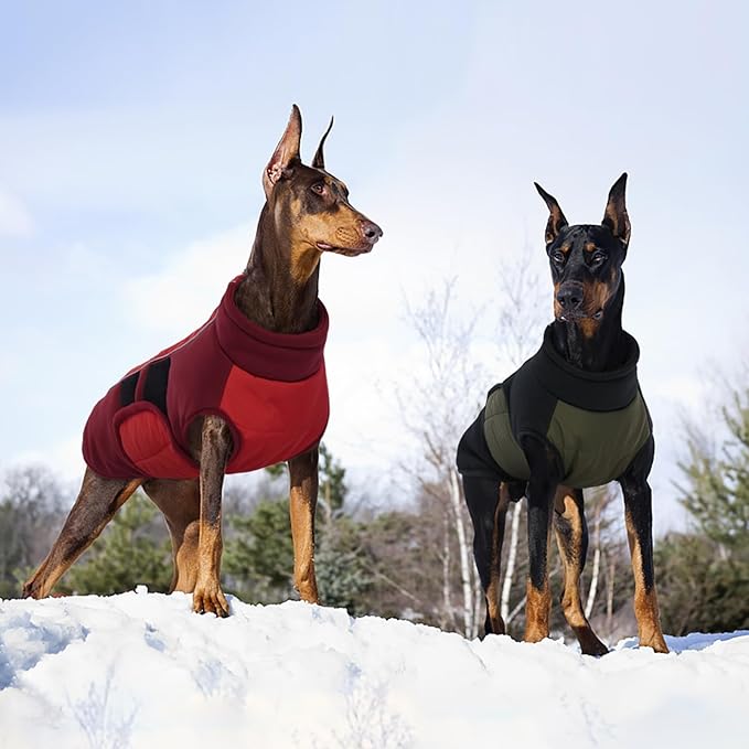 Kuoser Dog Winter Jacket, Winter Dog Coats for Medium Dogs, Reflective Doggie Cold Weather Coats Pet Clothes, Puppy Snow Jacket for Frech Bulldog, Boston Terrier, Green M