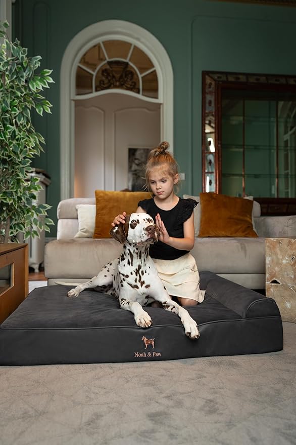 NOAH & PAW XL Dog Bed, 45x35x9.1 Inch, Orthopedic Large Dog Beds, Eggshell Memory Foam Infused with Cooling Gel, Waterproof, Machine Washable, Includes Inner Cover (Faux Leather)