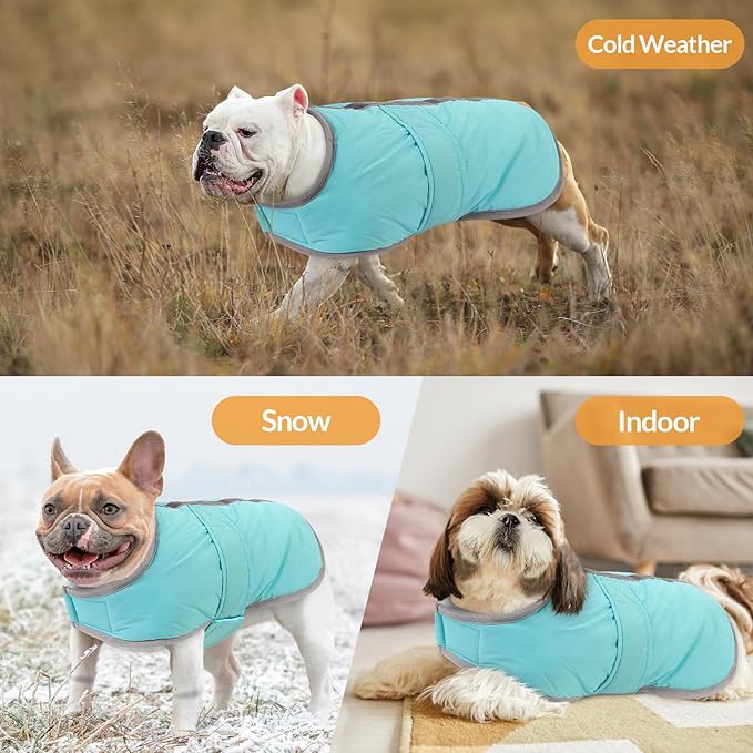 Queenmore Dog Winter Coat, Fleece Puffer Dog Down Vest, Cold Weather Pet Jacket for Dogs, Waterproof Reflective Reversible Dog Sweater Clothes for Small, Medium and Large Dogs (Light Blue, L)