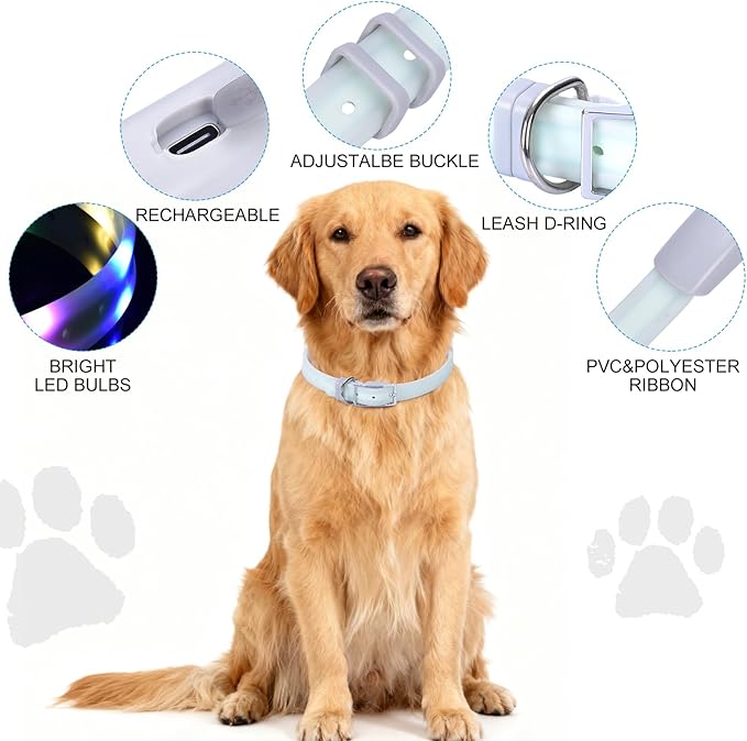 Lighted Dog Collar, Rechargeable Light Up Pet Collar, Waterproof LED Dog Collar Glow in The Dark, Make Pet Visible and Safety for Night Walking for Small Medium Large Dogs (Green)