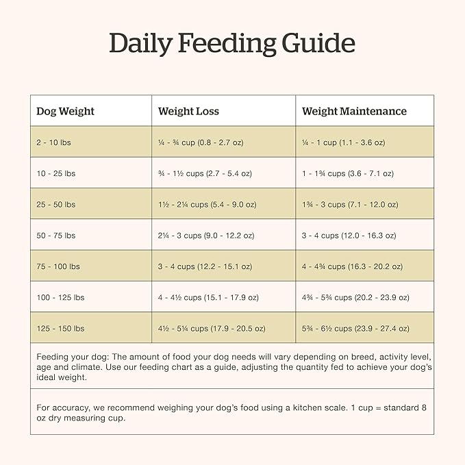 Now Fresh Grain-Free Senior Dry Dog Food with Turkey, Salmon & Duck, Premium Kibble Made with Real Meat & Fish, Chicken-Free Recipe, Glucosamine & Chondroitin for Healthy Joints, 12 lb Bag