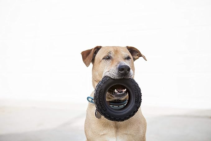 Mammoth TireBiterII – Natural Rubber Dog Toys for Extreme Chewers – Dog Toys for Extra Long Interactive Play – Aggressive Chewer Toys for Large - X-Large Dogs - X-Large 7”