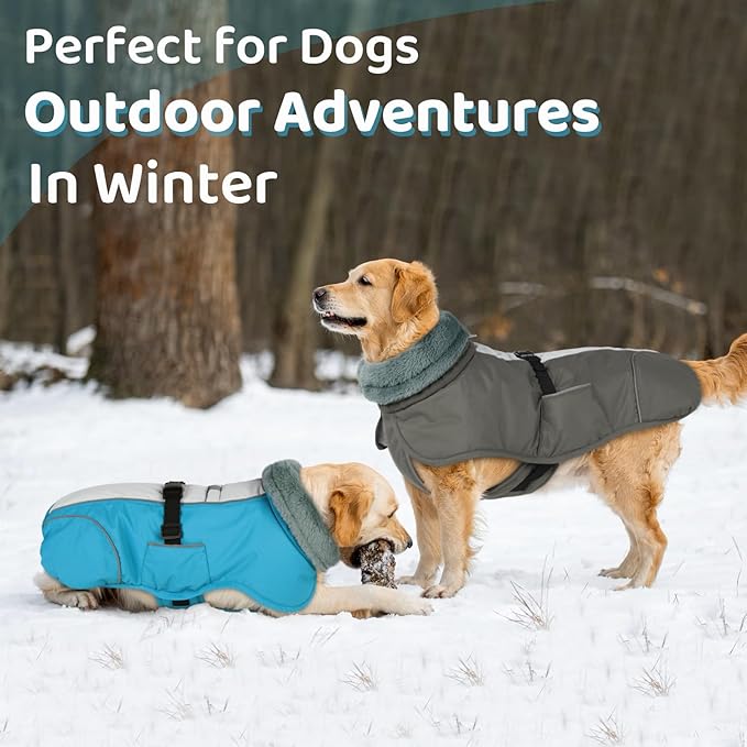 Queenmore Dog Coats for Large Breeds, Dog Snow Jacket, Adjustable Easy On Large Dogs Winter Jackets, Waterproof Cold Weather Pet Coat, Grey, L