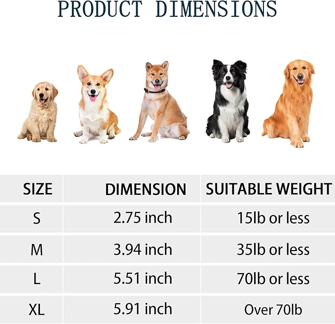 HYQ Interactive Ball for Small Medium Large Dogs - Squeaky Puppy Toy to Keep Them Busy - 5.51 Inch
