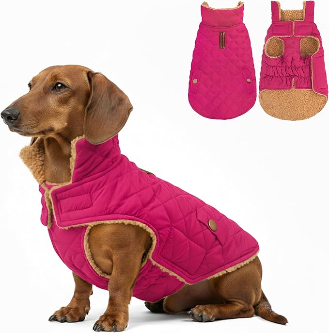 azuza Dog Jacket Waterproof & Windproof Dog Coat for Small Dogs with Thick Fleece, High Collar with Leash Hole, Adjustable Velcro & Elastic Belly, Rose Red, S