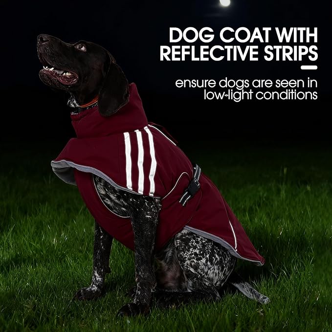 FUAMEY Dog Cold Weather Coats,Dog Winter Jackets for Small Dogs Warm Dogs Coat with Reflective Strips Waterproof Pet Snowsuit Thick Paded Pets Vest for Yorkshire Chihuahua Wine Red S
