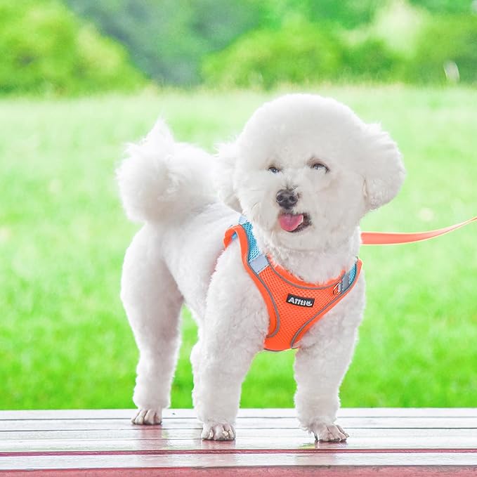 AIITLE Step in Dog Harness and Leash Set - Summer No Pull Escape Proof Vest Harnesses with Soft Mesh and Reflective Bands, Adjustable Pet Outdoor Harnesses for Small and Medium Dogs Orange M