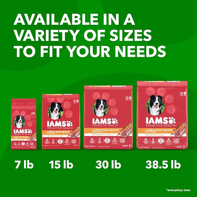 IAMS Proactive Health Minichunks Adult Dry Dog Food with Lamb & Rice, 30 lb. Bag