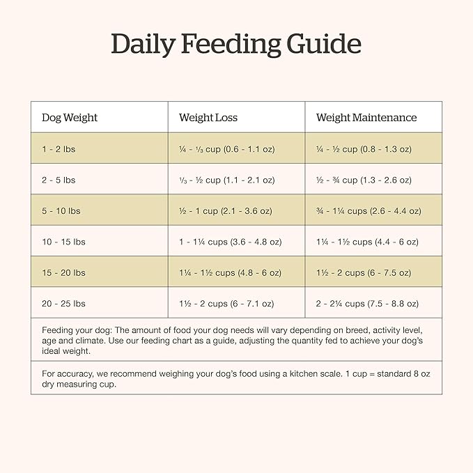 Now Fresh Grain-Free Small Breed Dry Dog Food with Turkey, Salmon & Duck, Healthy Kibble for Adults Made with Real Meat & Fish, Chicken-Free Recipe, Pumpkin & Probiotics for Good Digestion, 6 lb Bag