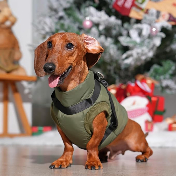 Dog Jacket with Harness,Fleece Lined Warm Puppy Coat for Winter,Soft Windproof Medium Dog Vest,Green XL