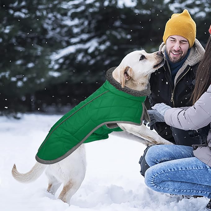 Fragralley Dog Coat Medium, Waterproof Dog Jacket with Warm Fleece Lining, Adjustable Reflective Dogs Winter Coat, Turtleneck Pet Coats for Cold Weather (Green M)