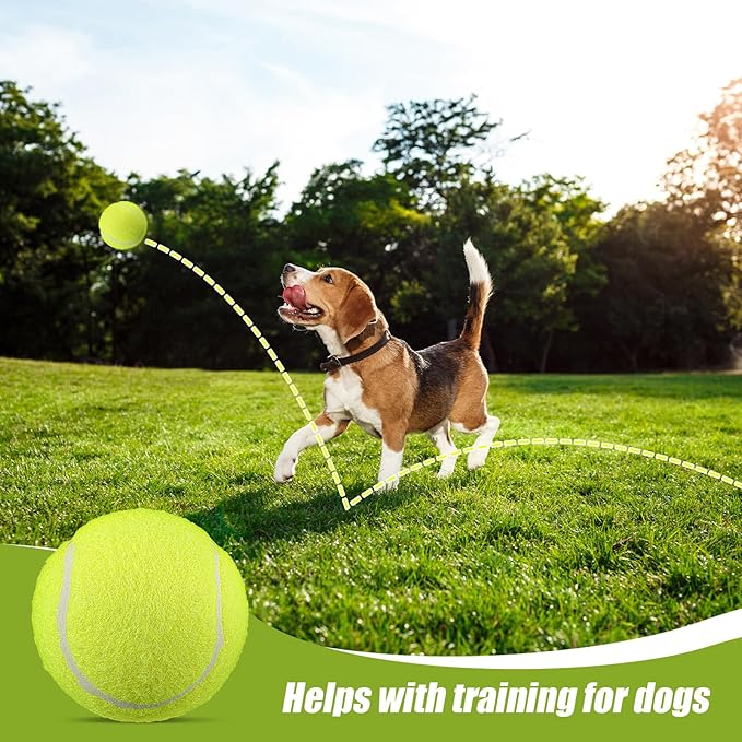 20 Pack Bulk Tennis Balls for Dogs, 2.5 Inch Mini Tennis Balls for Pet Playing Fecth, Yellow Interactive Easy Catching Dog Playing Ball for Small Size Dogs Puppy Pet Playings Exercise and Practice