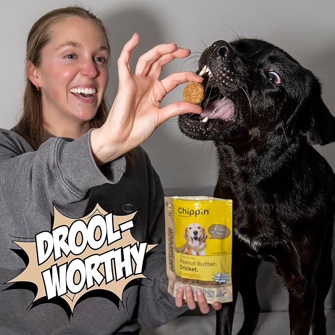 Peanut Butter Dog Treats, Healthy Puppy Treat, Pumpkin, Cricket, Gift for Pet Lovers, Natural Dog Snacks, Hypoallergenic, Gut-Healthy, Medium and Large Dogs, Sustainable Products