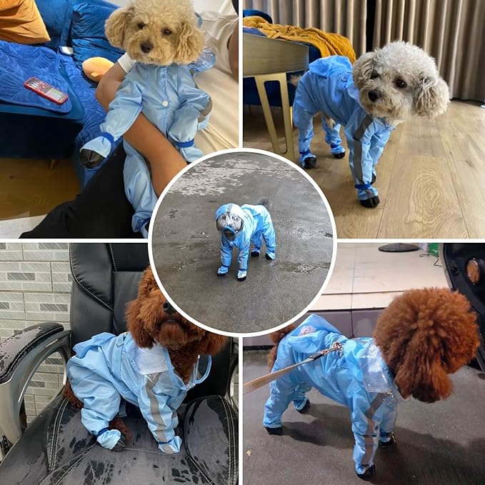 Full Coverage Small Dog Raincoat, Waterproof with Four-Leg Protection, Ideal for Teddy Bears, Includes Waterproof Mini Backpack (Yellow, Large(Suggest Weight 8.8-13.2lb))