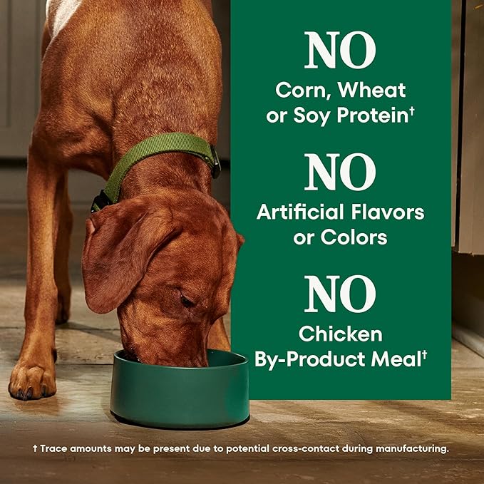 Nutro Natural Choice Chicken & Brown Rice Senior Dog Food Dry Recipe, 13 lb. Bag