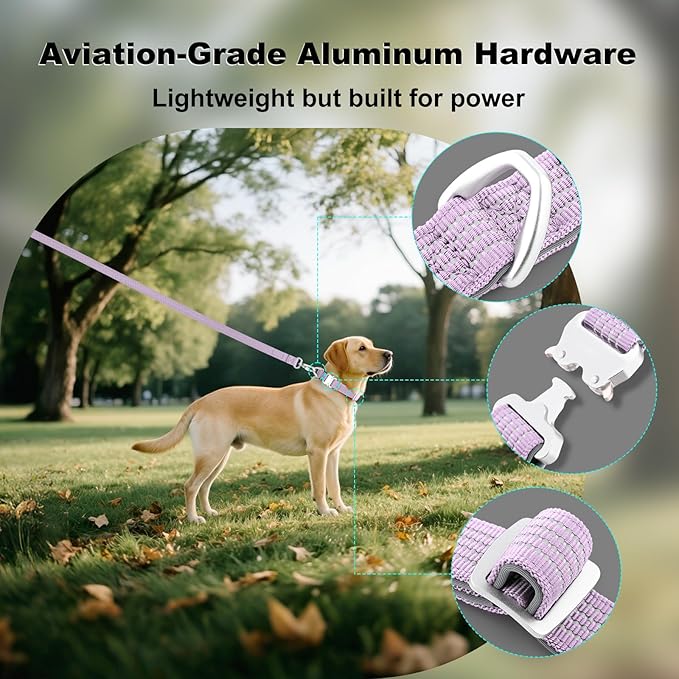 Plutus Pet Reflective Dog Collar with Aviation Aluminum Buckle, Neoprene Padded for Comfort, Lightweight, Heavy Duty Nylon Collar for Puppy Small Medium Large Dogs (Lilac Purple, L)
