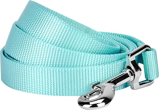Blueberry Pet Essentials Mint Blue Dog Leash for X-Small -5' * 3/8" Dogs | Heavy Duty Nylon Lead | Lightweight Puppy & Cat Leash for Walking & Training