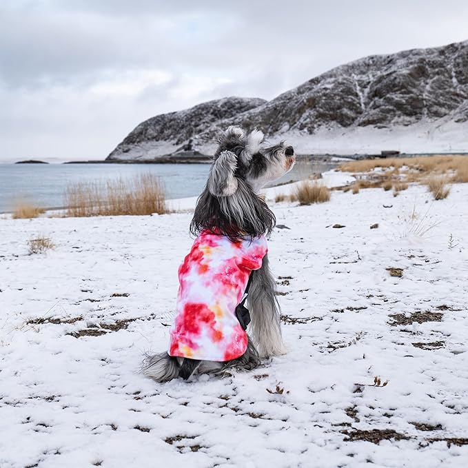 GMF29M Winter Dog Coat - Waterproof & Windproof Jacket, Reversible Vest, Thick Soft Coats for Small, Medium & Large Dogs, with Leash Hole