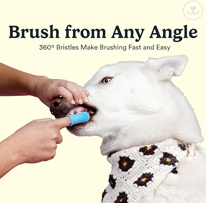 Jasper Dog Toothbrush, 360 Dog Tooth Brushing Kit, Finger Toothbrush, Cat Tooth Brush, Teeth Cleaning, Pet Tooth Brush for Small & Large Pets, Pet Toothpaste Not Included, 4-Pack Clear